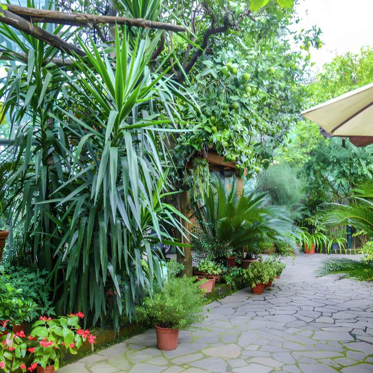 Apartment Sorrento 1 - Studio - 1