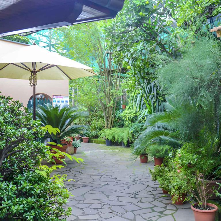 Apartment Sorrento 1 - Studio - 6