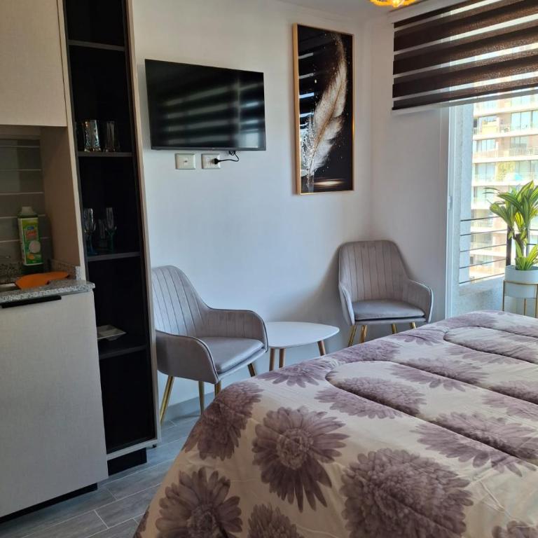 Apartment in Santiago - One-Bedroom Apartment - 2
