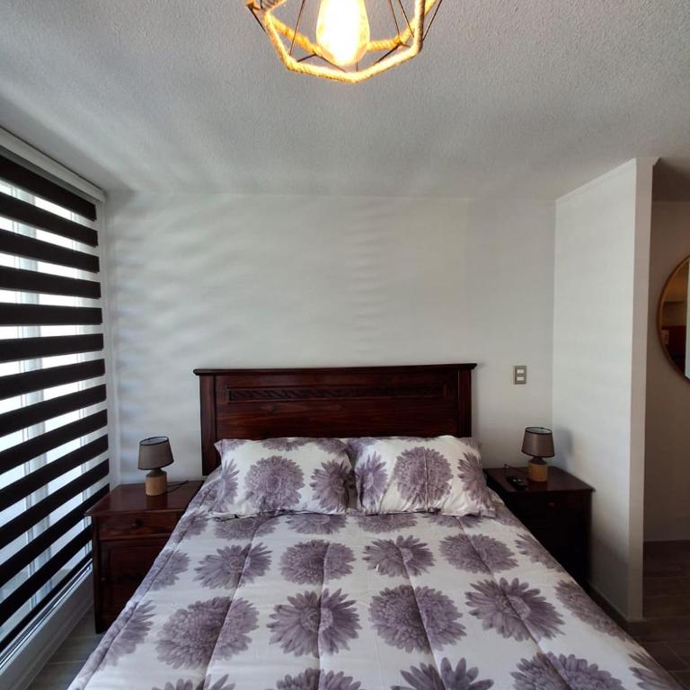Apartment in Santiago - One-Bedroom Apartment - 9