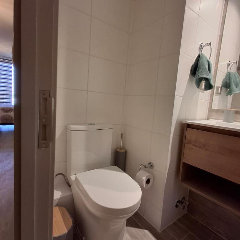 Apartment in Santiago - One-Bedroom Apartment - 16