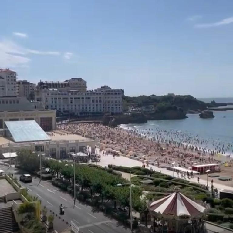 T2 Apartment Eugenie Ocean View Grande Plage and Pool - Appartement 1 Chambre - 23