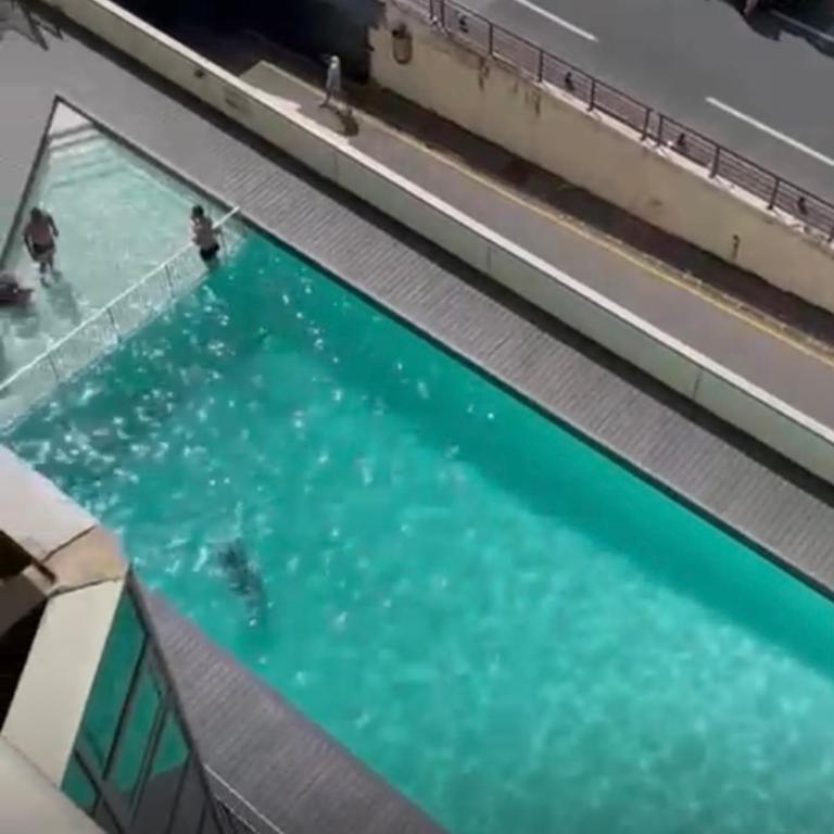 T2 Apartment Eugenie Ocean View Grande Plage and Pool - Appartement 1 Chambre - 7