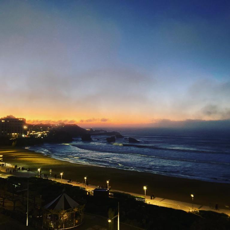 T2 Apartment Eugenie Ocean View Grande Plage and Pool - Appartement 1 Chambre - 24