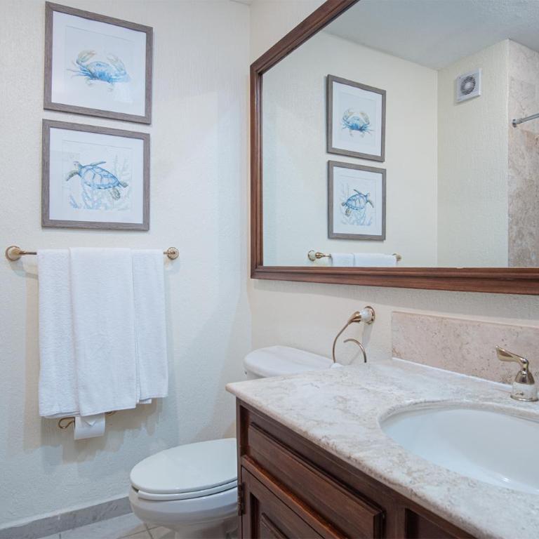 Sonoran Sea - Casa - 15