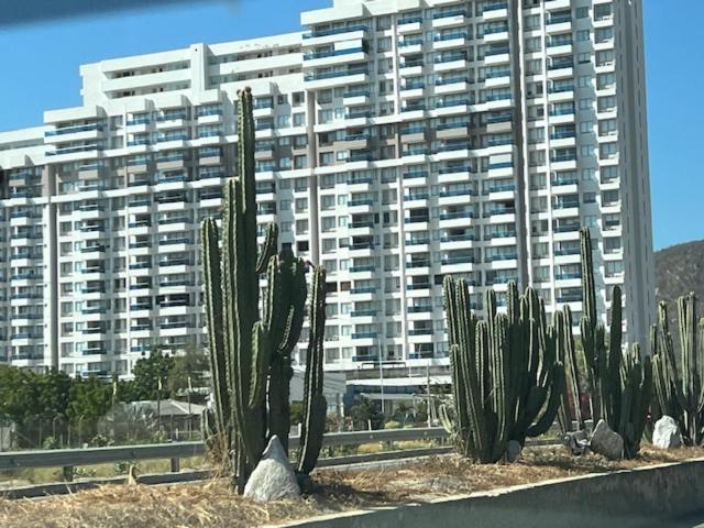 Samaria Club de Playa, Santa Marta Colombia - Two-Bedroom Deluxe Apartment with Ocean View - 25