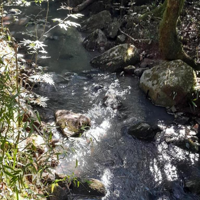 Hospedaje Los Buenos Aires - Bungalow Familiar - 22