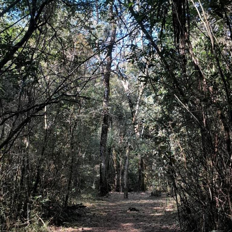 Hospedaje Los Buenos Aires - Bungalow Familiar - 23