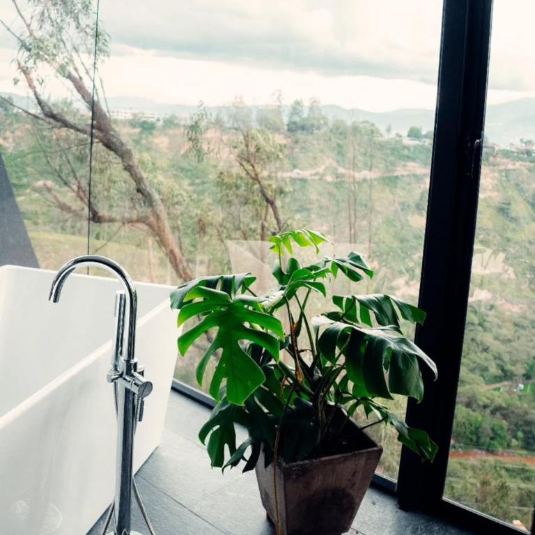 Piedra y Agua Glamping Puembo - Villa de 1 dormitorio - 12