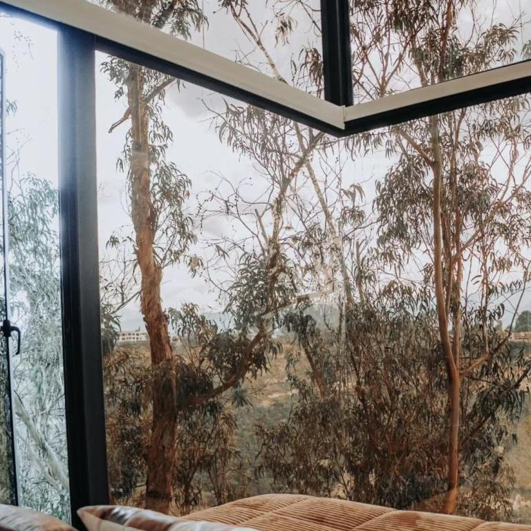 Piedra y Agua Glamping Puembo - Villa de 1 dormitorio - 18