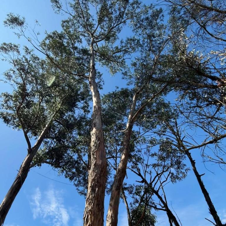 Piedra y Agua Glamping Puembo - Villa de 1 dormitorio - 19