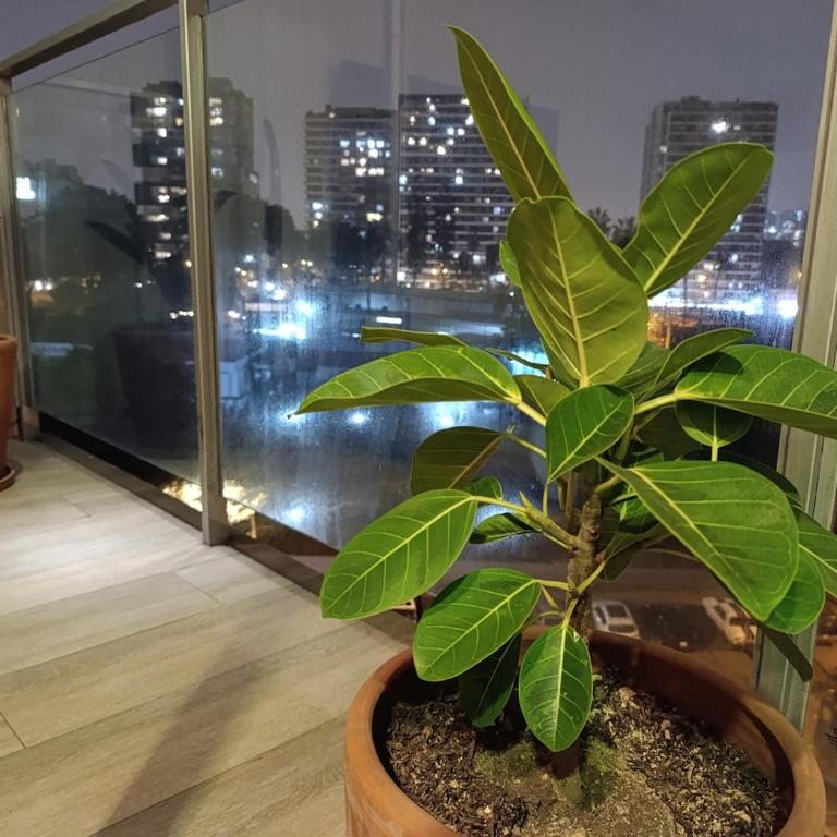 Beautiful loft in Barranco - One-Bedroom Apartment - 33