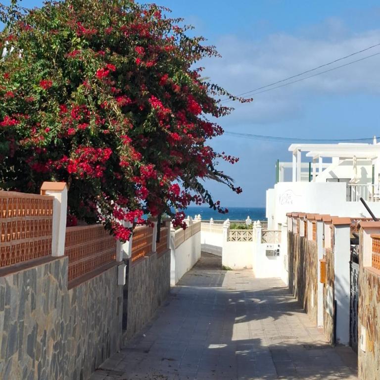 Las Olas Corralejo beach - Apartamento de 2 dormitorios con terraza y vistas al mar - 2