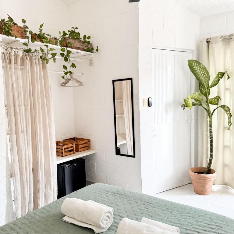 Casa Palmita - Double Room with Balcony - 4