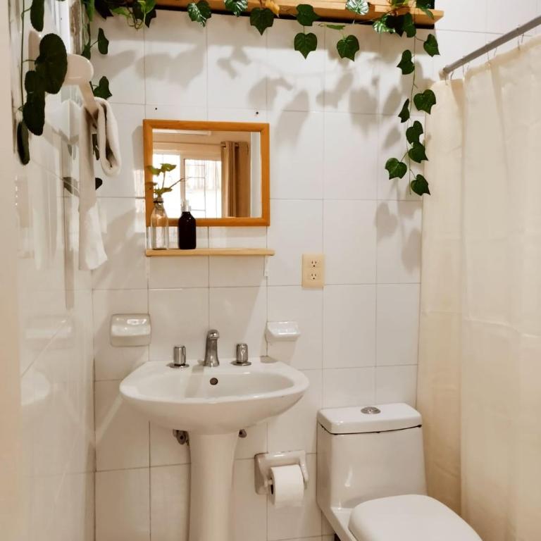 Casa Palmita - Five-Bedroom House - 29