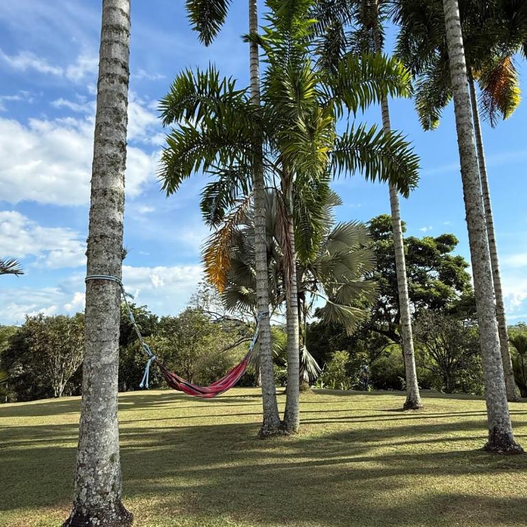 Villa La Isabella in Combia, Pereira, Colombia - Villa - 23