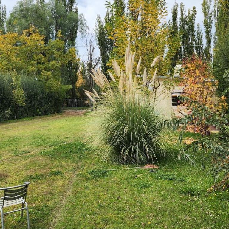 Cabaña cuadro benegas - Apartamento de 1 dormitorio - 15