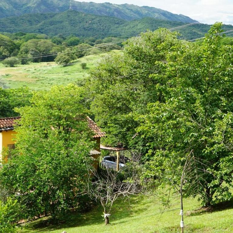 Comfy House with WiFi Pool Jacuzzi in Carmen De Apicala - Casa de 3 dormitorios - 15