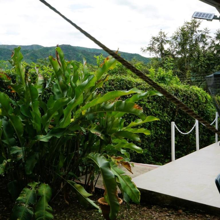 Comfy House with WiFi Pool Jacuzzi in Carmen De Apicala - Casa de 3 dormitorios - 28