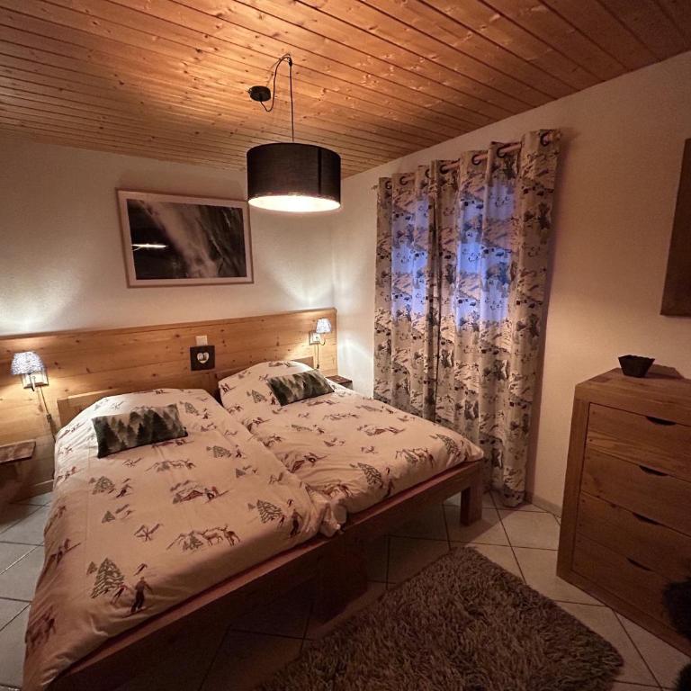 Le Pacheu - Chalet - 45