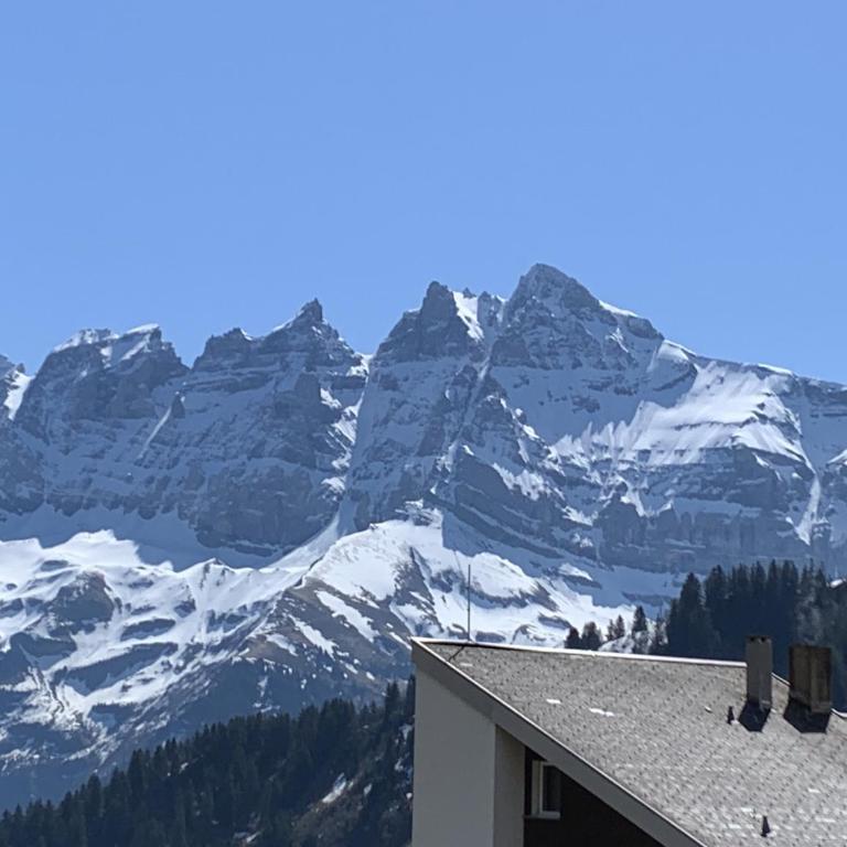 Le Pacheu - Chalet - 50