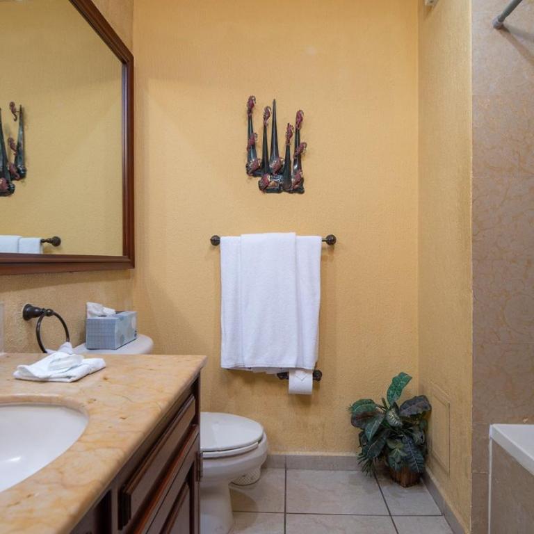 Sonoran Sun - Ferienhaus - 13