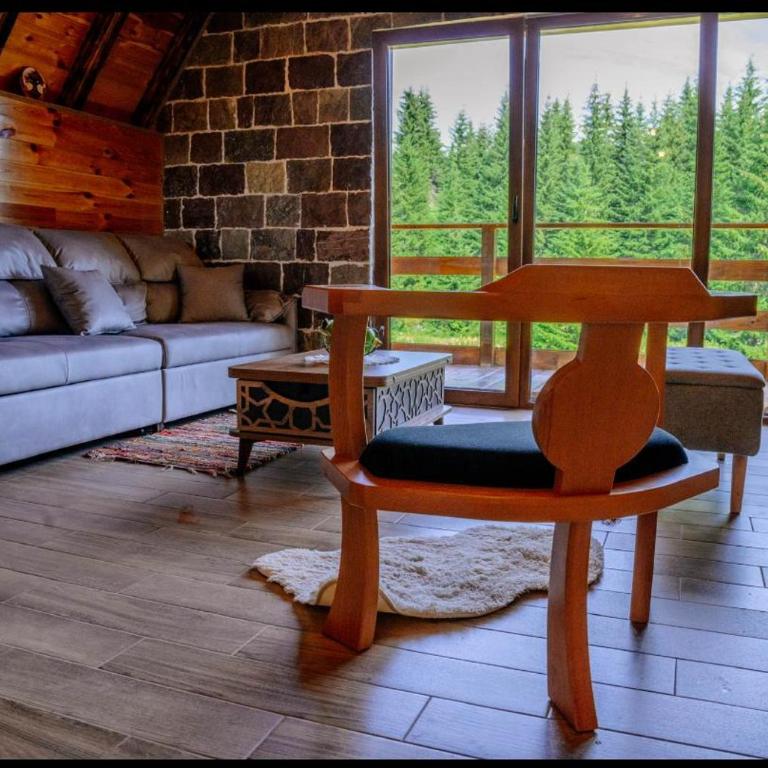 Cabaña de la Montaña - Two-Bedroom House - 14