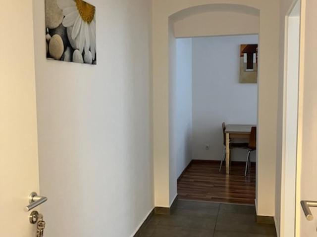Appartement Moskovic - Apartment - 3