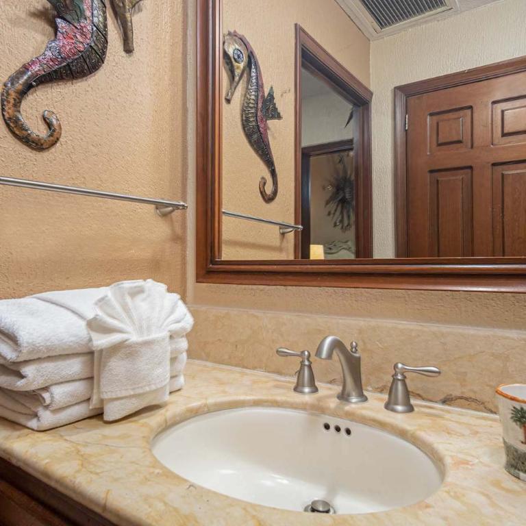 Sonoran Sun - Casa - 5