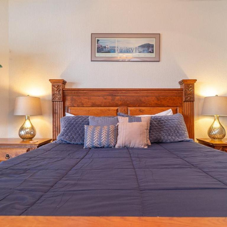 Sonoran Sun - Casa - 10