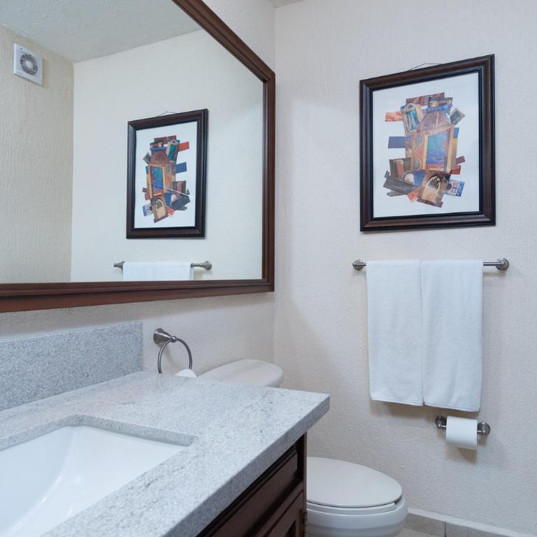 Sonoran Sun - Vacation Home - 20
