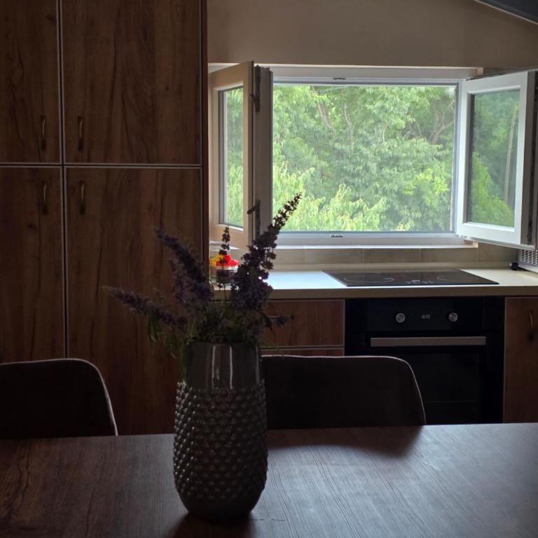 Wildstone Krusi - Pool & Apartments 1 - Apartman sa 2 Spavaće Sobe - 9