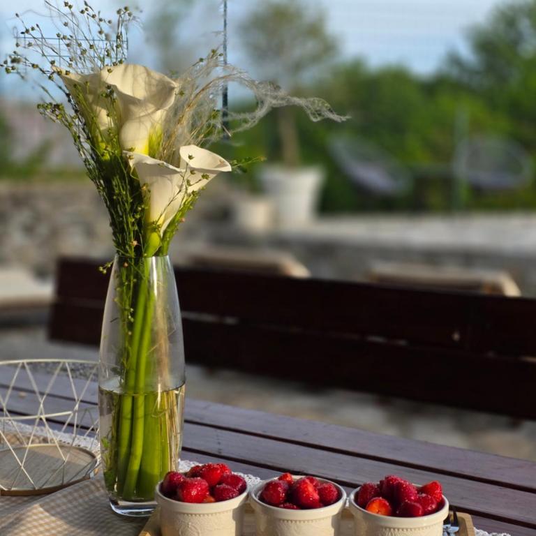 Wildstone Krusi - Pool & Apartments 1 - Apartman sa 2 Spavaće Sobe - 37