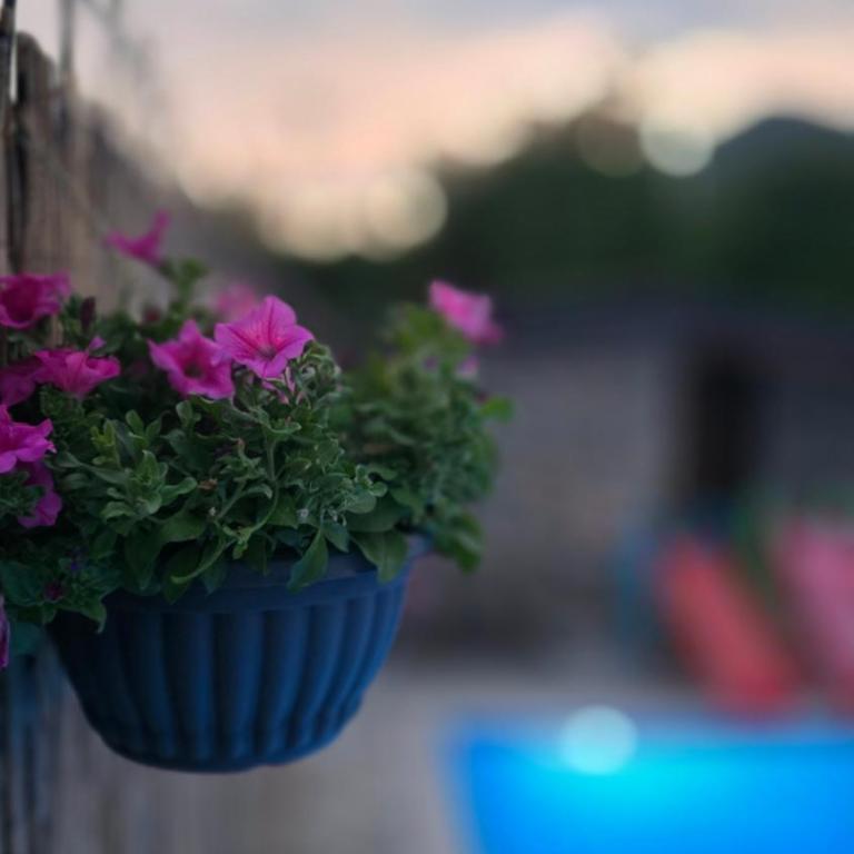 Wildstone Krusi - Pool & Apartments 2 - Apartman sa 1 Spavaćom Sobom - 28