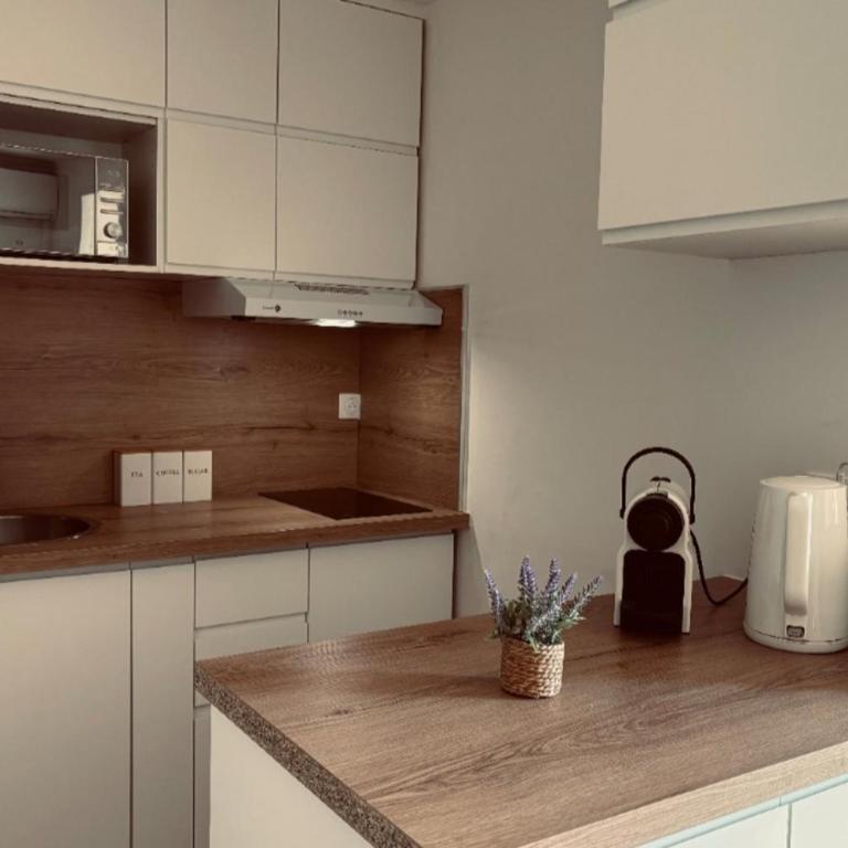 Apartment with garden at the foot of the harbor - Appartamento - 11