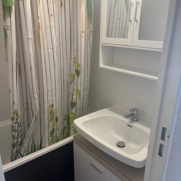 Studio sur Piste PUY ST VINCENT 1700 skis aux pieds ! - Apartamento de 1 dormitorio - 4