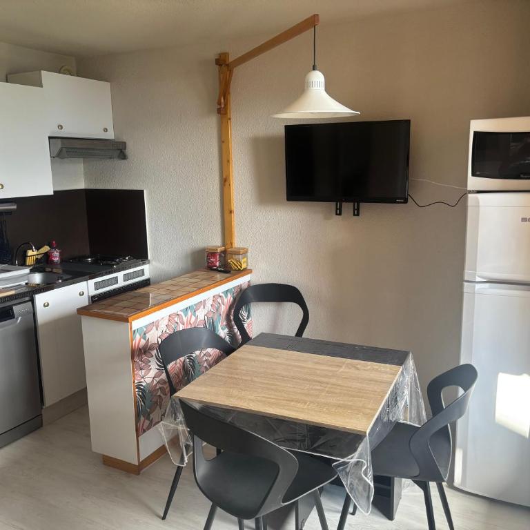 Studio sur Piste PUY ST VINCENT 1700 skis aux pieds ! - Apartamento de 1 dormitorio - 1