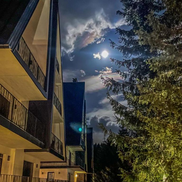 Apartment Our Story, Jahorina - Four-Bedroom Deluxe Apartment - 30