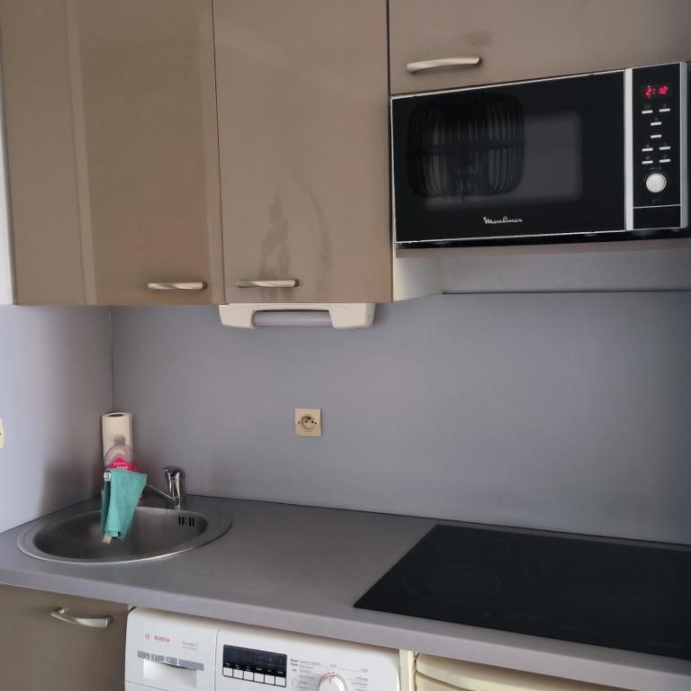Palm d'Azur 459 - Appartement 1 Chambre - 7