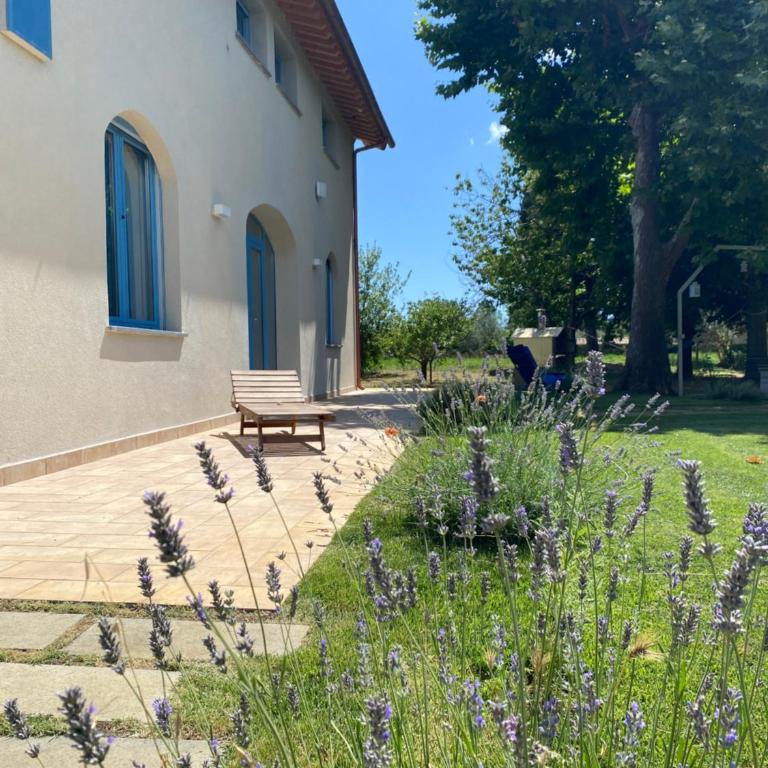 La Traversa Di Bolsena - Villa Superior - 42
