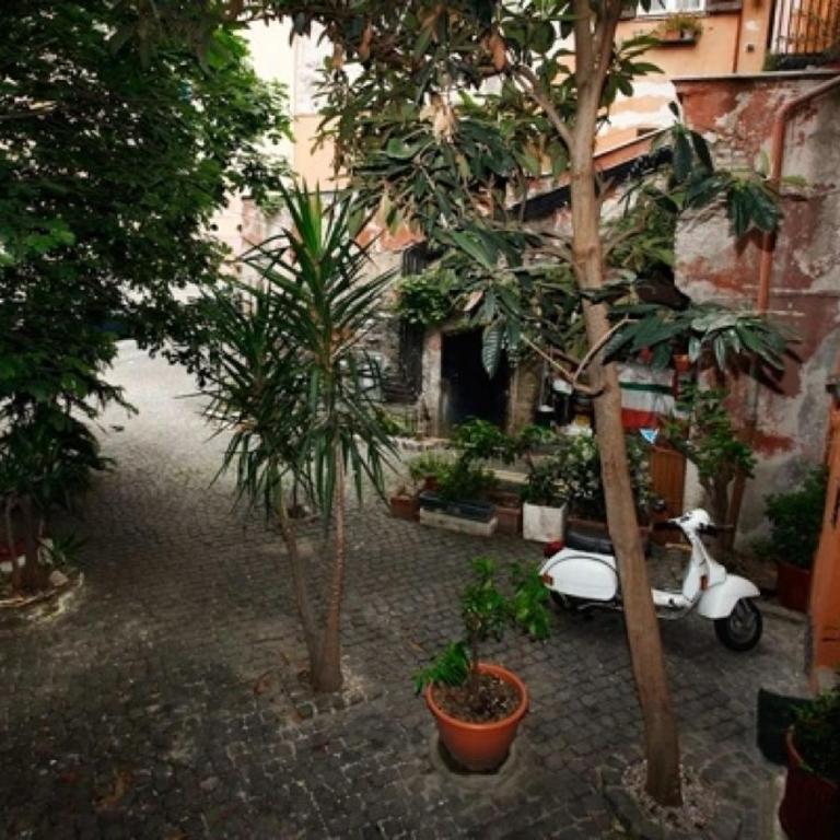 931 Rome Montefiore apartment - Appartamento con 2 Camere da Letto - 18