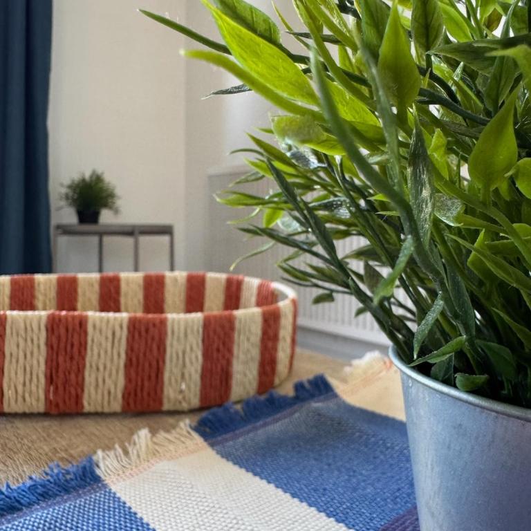 Bleu Mandarine by PRIM0 C0NCIERGERIE - Appartement 1 Chambre - 9