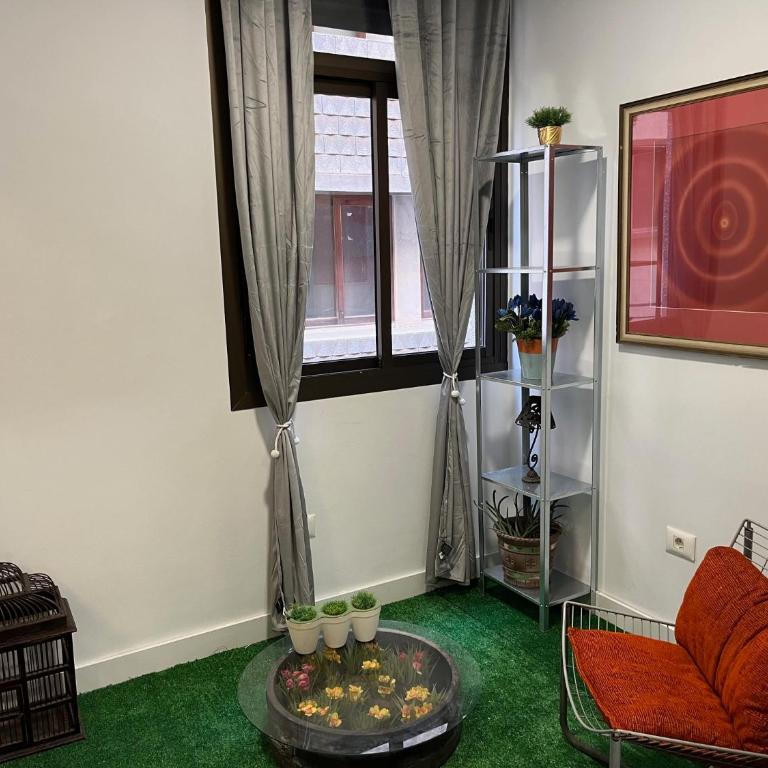 ART DECO Santa Cruz Centro - Apartamento de 1 dormitorio - 12