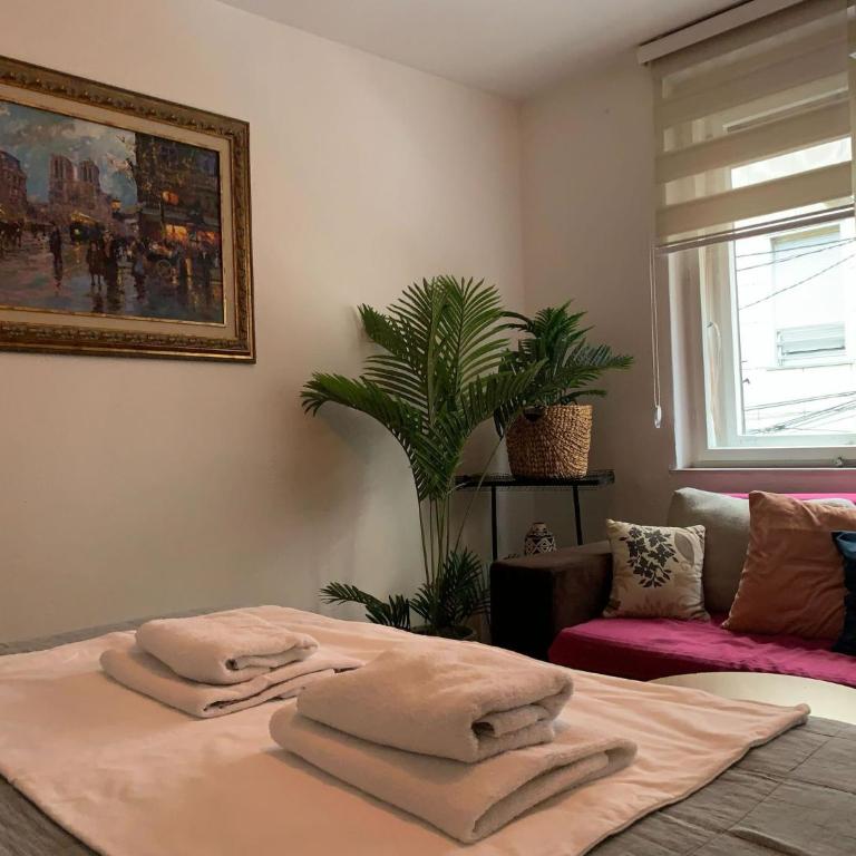 Star apartment 2 - One-Bedroom Apartment - 14