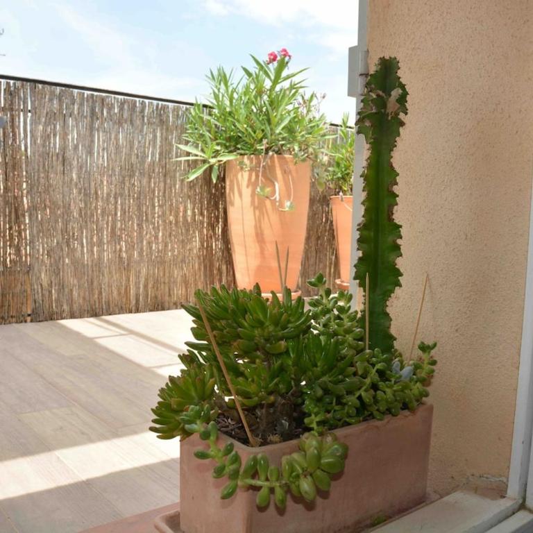 Large studio with terrace and air conditioning - Estudio con terraza - 13