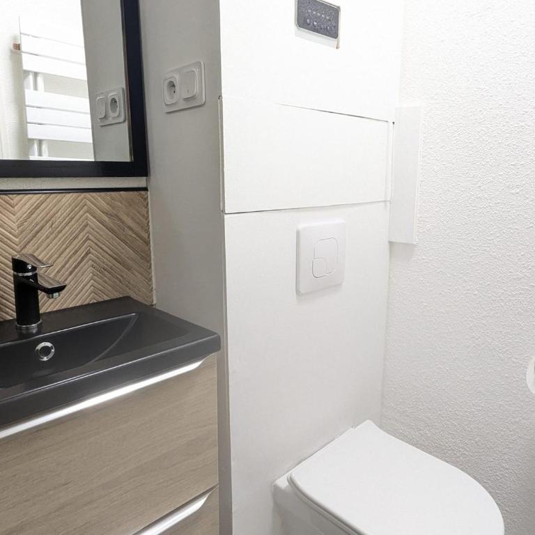 Charmant studio cabine 4 pers, balcon au pied des pistes - Appartement 1 Chambre - 4