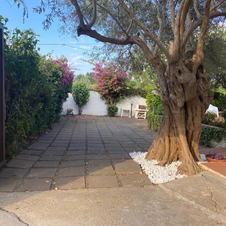 Villa Zina - Casa con 2 Camere da Letto - 21