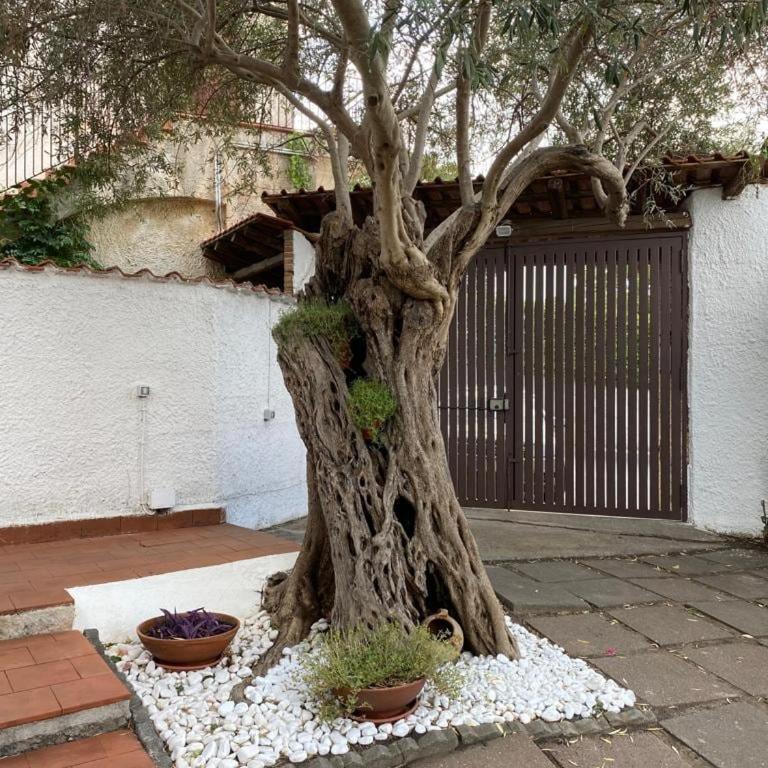 Villa Zina - Casa con 2 Camere da Letto - 18