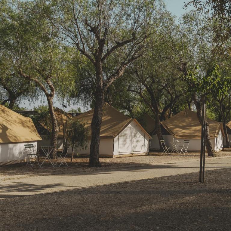 wecamp Jávea - Tent - 6