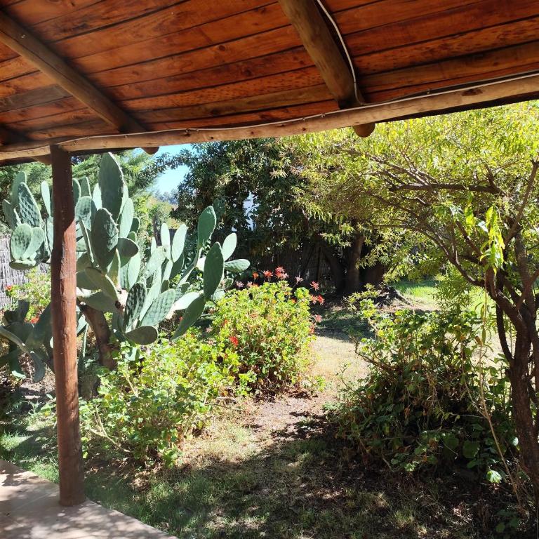 Hostal El Carmen de Pirque - Suite - 3